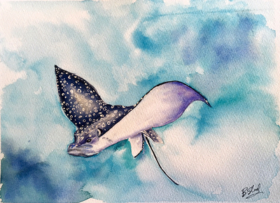 Eagle Ray