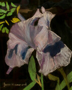 Purple Iris Pastel