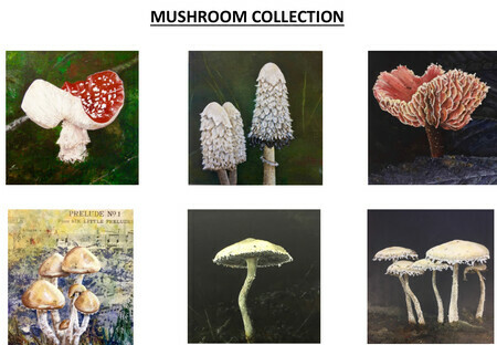 Cards  Mushroom Collection