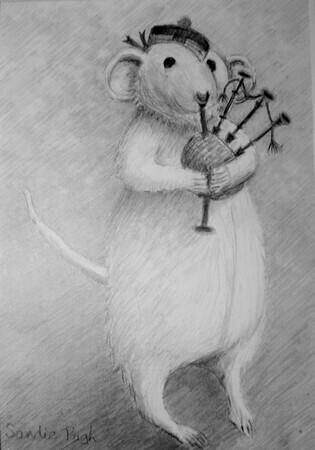 Piper Rat