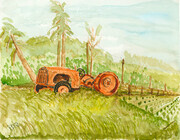 Tractor Valley Home Farm