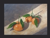 Still Life Tangerines